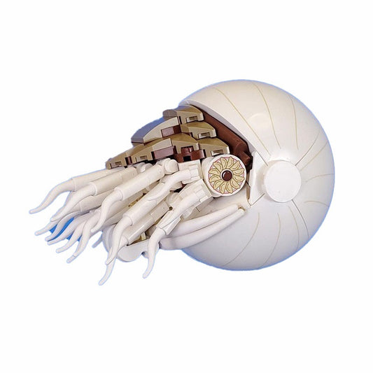 Nautilus MOC Sea Animal Display Building Kit - 1