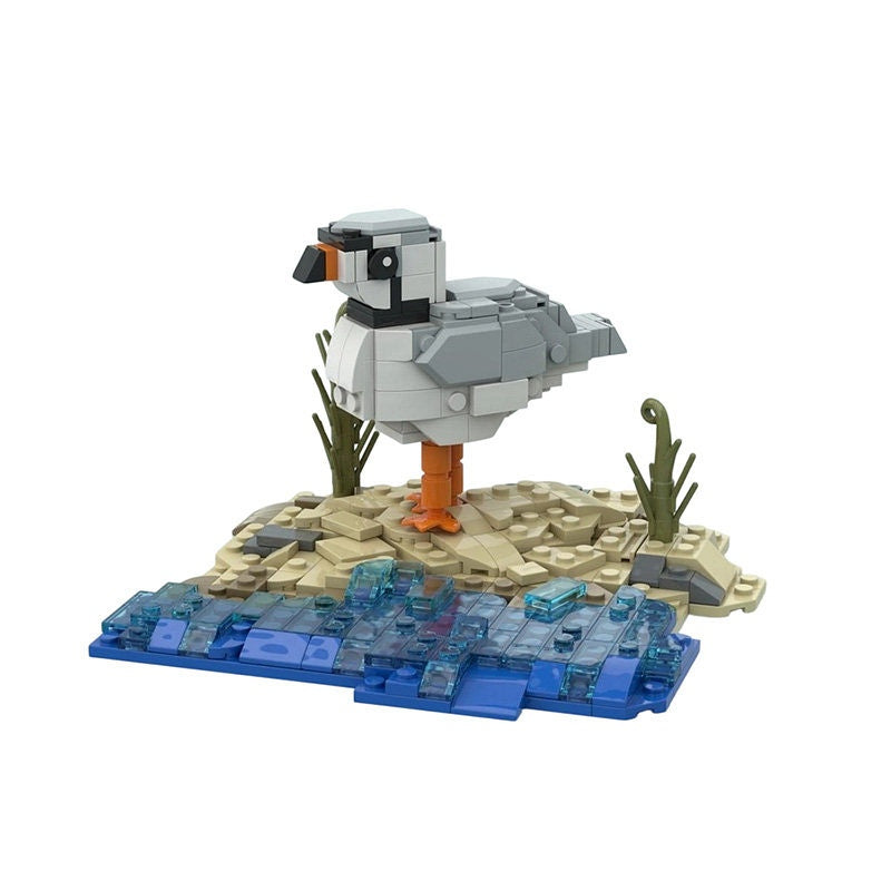 Piping Plover Bird MOC Building Kit | Realistic Shorebird Model - 1